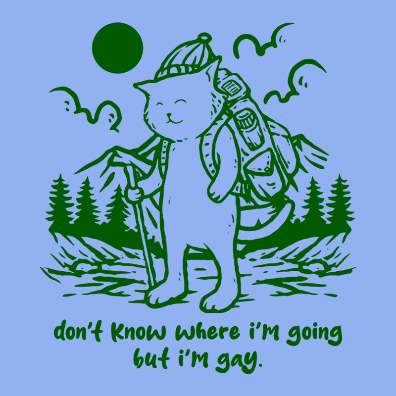 Don't Know Where I'm Going But I'm Gay