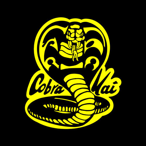 Cobra Kai Hoodie - FiveFingerTees