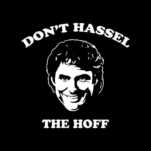 Don't Hassel The Hoff T-Shirt - FiveFingerTees