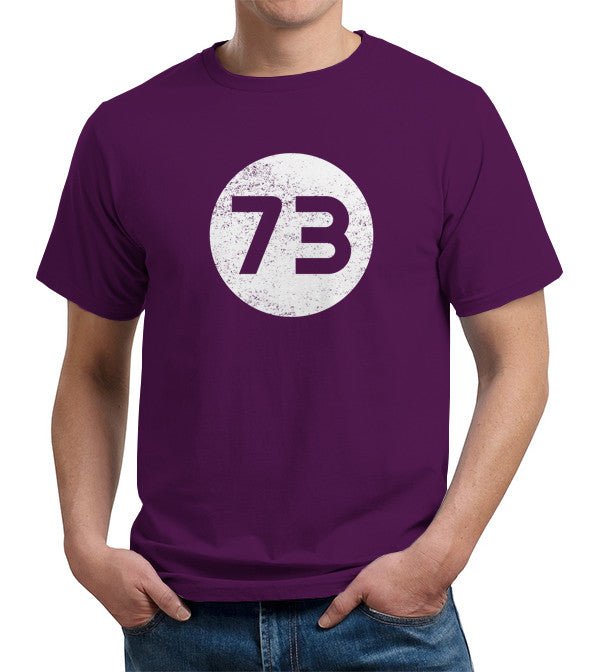 Sheldon Cooper's 73 T-Shirt - FiveFingerTees